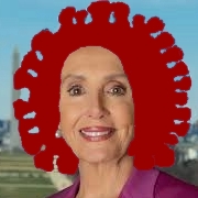 Pelosivirus
