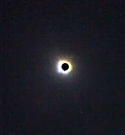 Processed 2