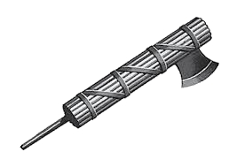 fasc = bundle of sticks